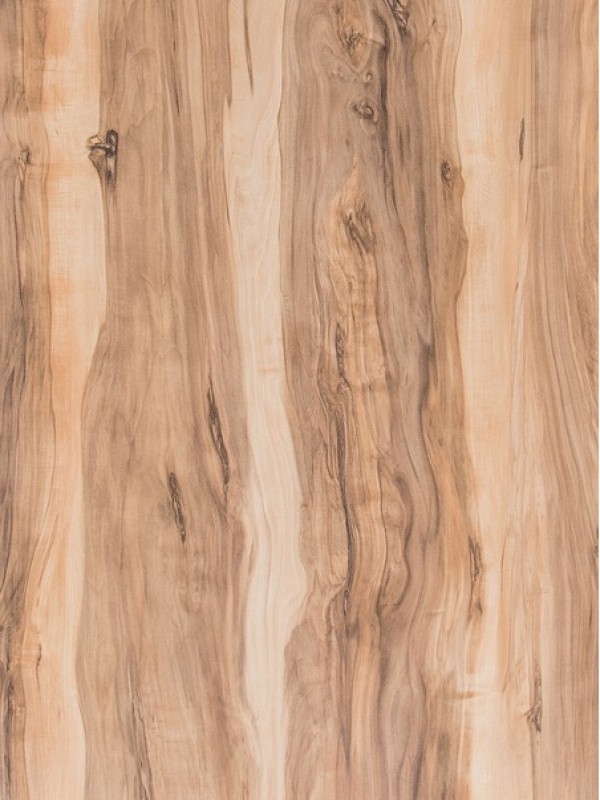 Индийское дерево. Kedr