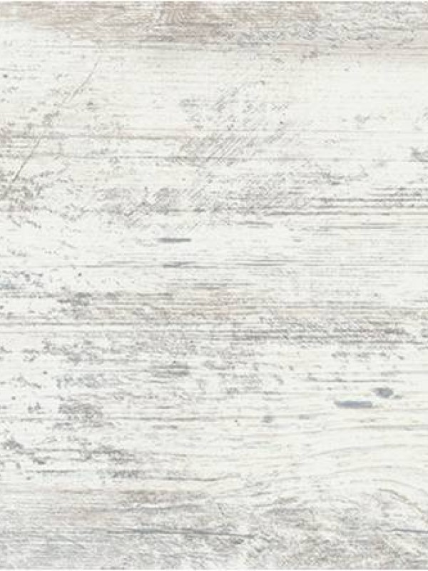 Сосна Монрепо